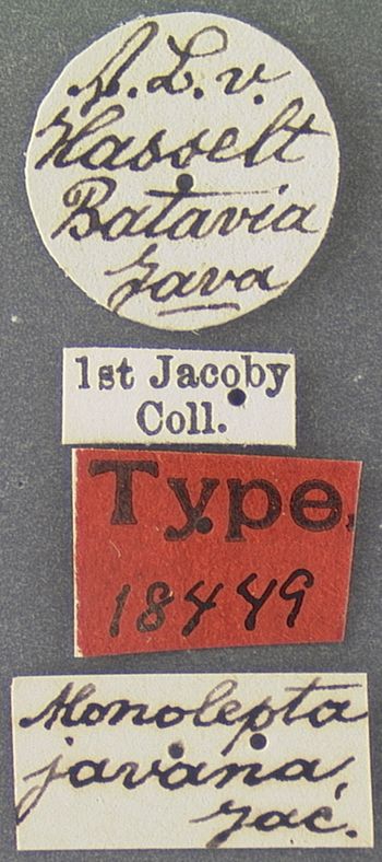 Media type: image; Entomology 18449   Aspect: labels